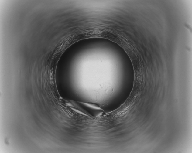 X0000096460818200802071832