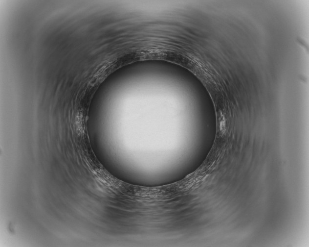 X0000096460819200802071832