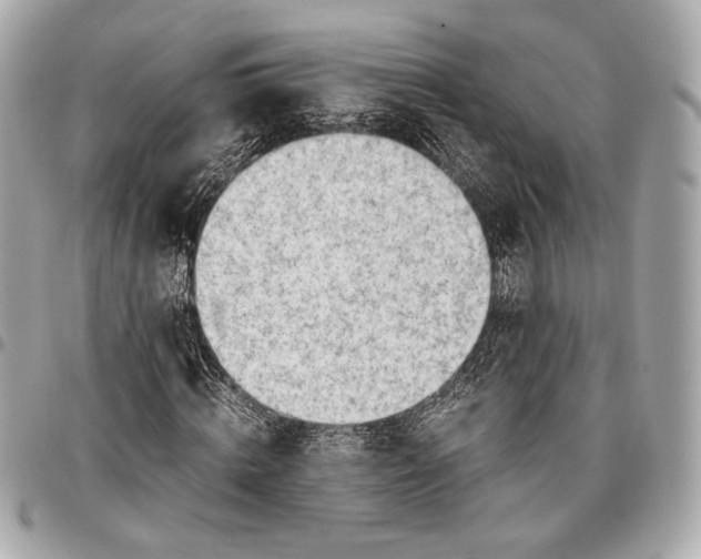 X0000096460820200802071832