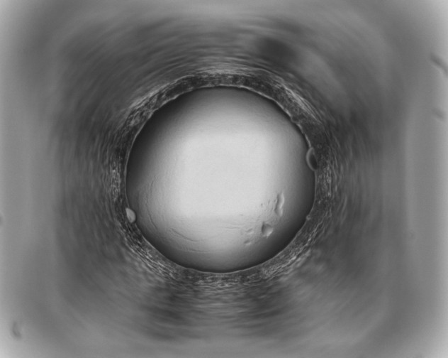 X0000096460821200802071832