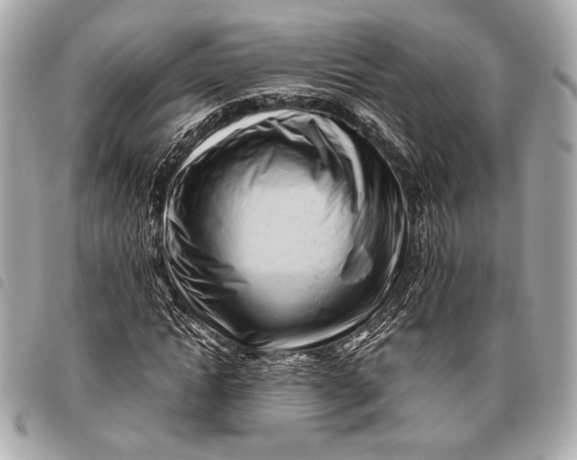 X0000096460822200802071832
