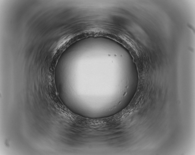 X0000096460823200802071832