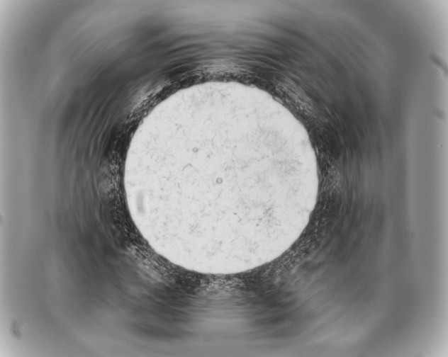 X0000096460824200802071832