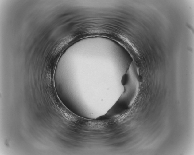 X0000096460825200802071832