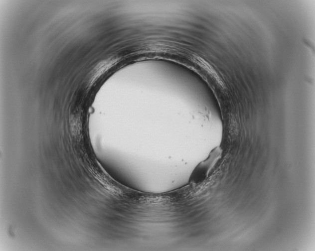 X0000096460826200802071832