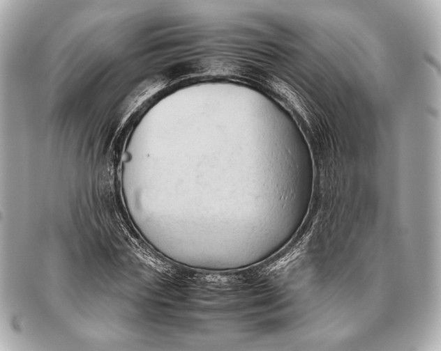 X0000096460827200802071832
