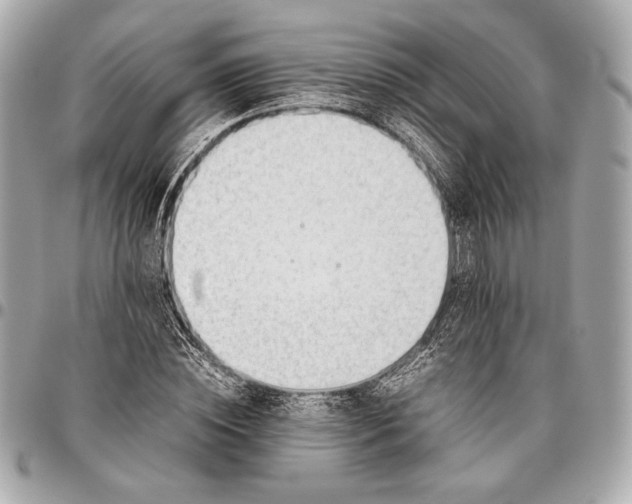 X0000096460828200802071832