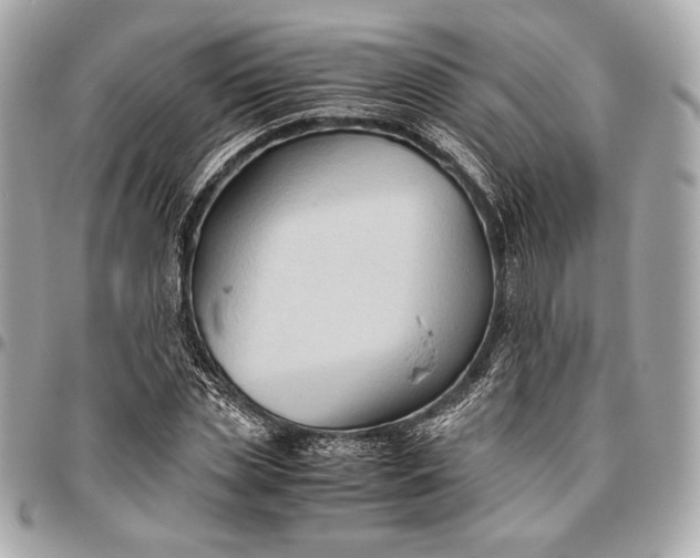 X0000096460829200802071832