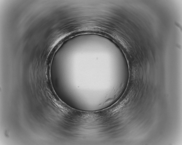 X0000096460830200802071832