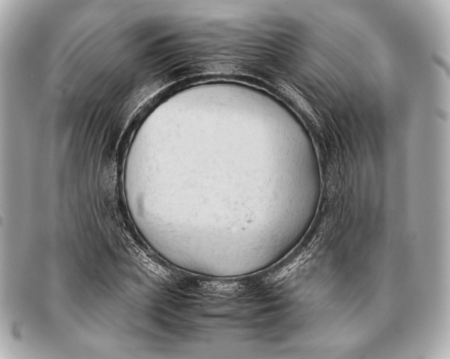 X0000096460831200802071832