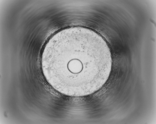 X0000096460832200802071832