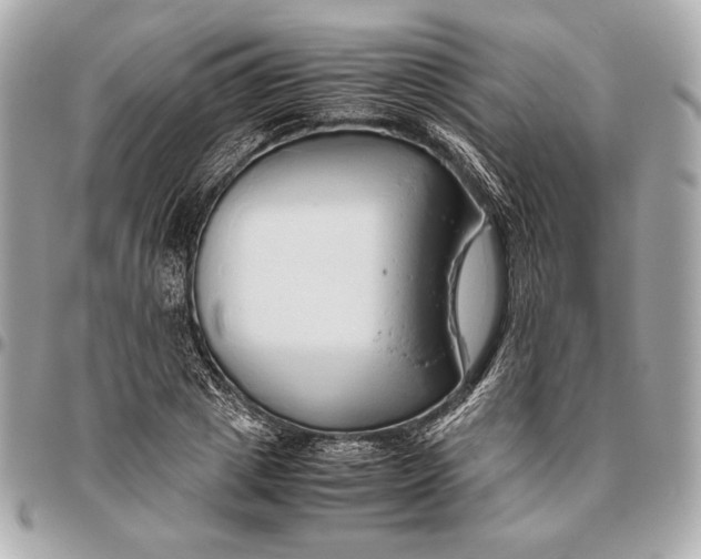 X0000096460833200802071832