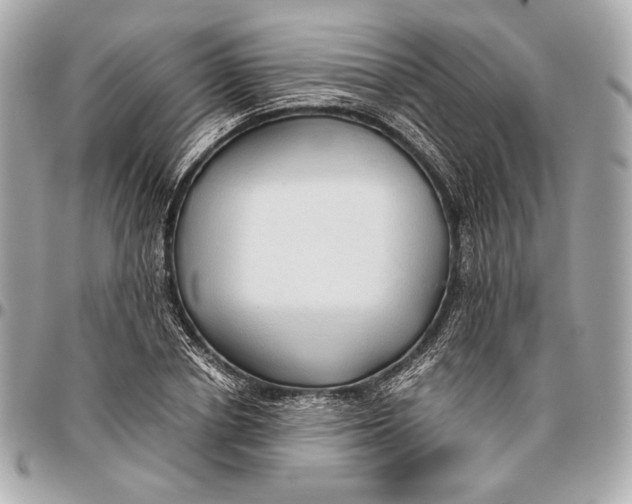 X0000096460834200802071832