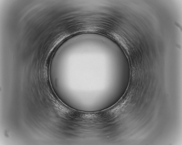 X0000096460835200802071832