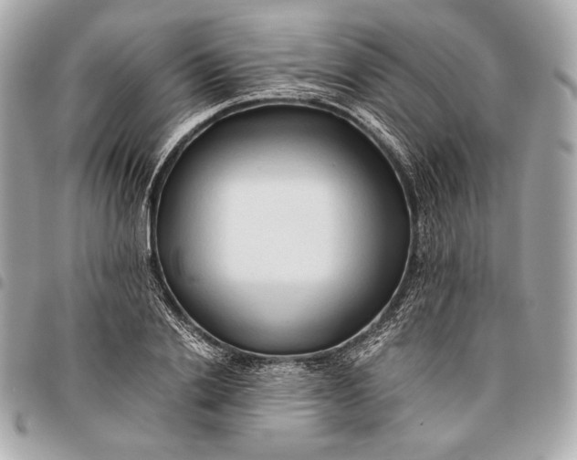 X0000096460838200802071832