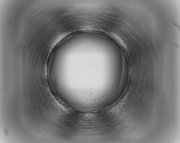 X0000096460839200802071832