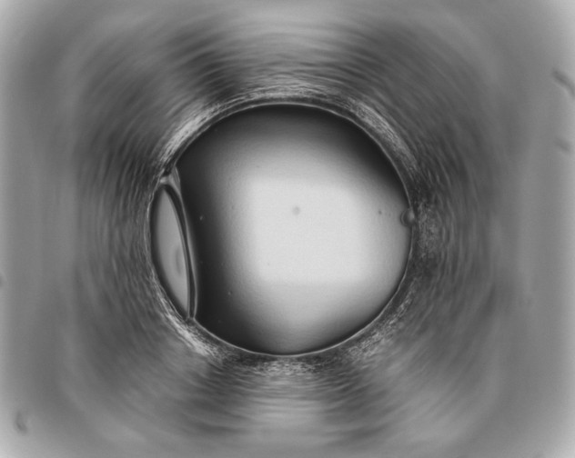X0000096460842200802071832