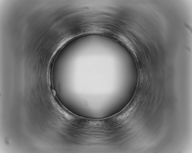 X0000096460843200802071832