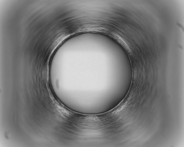 X0000096460844200802071832