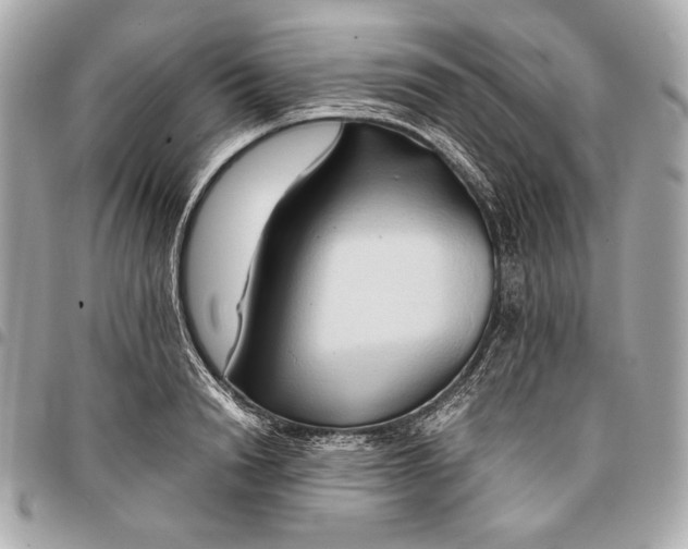 X0000096460846200802071832