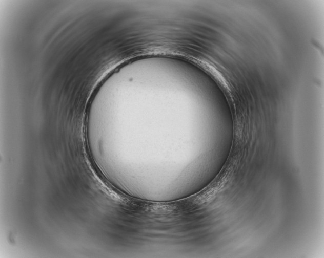 X0000096460847200802071832