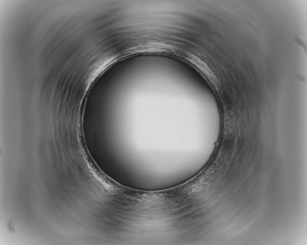 X0000096460850200802071832