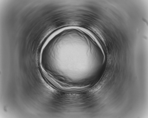 X0000096460851200802071832