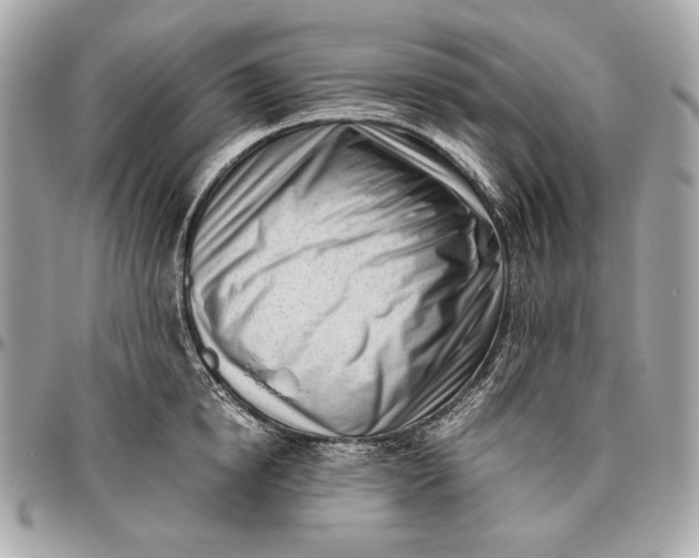 X0000096460854200802071832