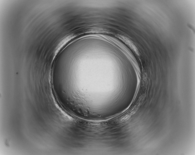 X0000096460855200802071832