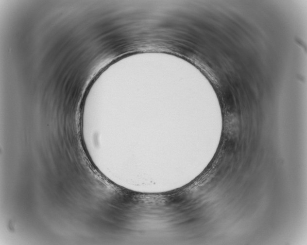 X0000096460856200802071832