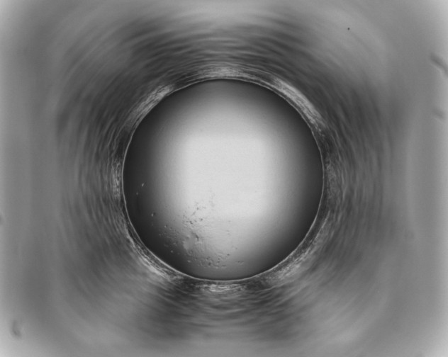X0000096460857200802071832