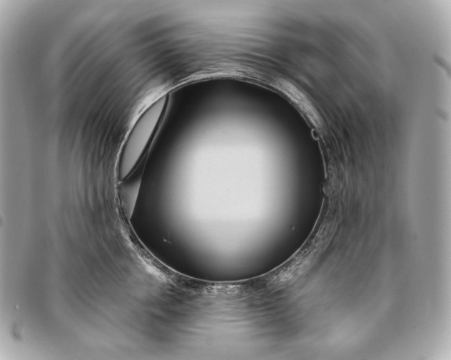 X0000096460858200802071832