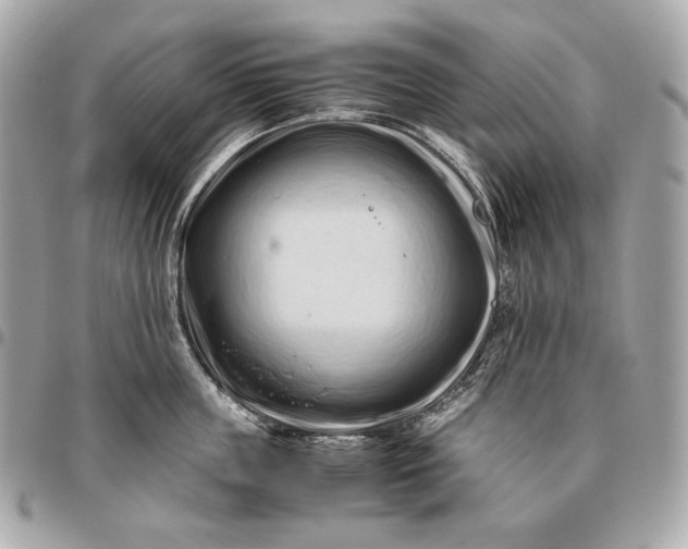 X0000096460859200802071832