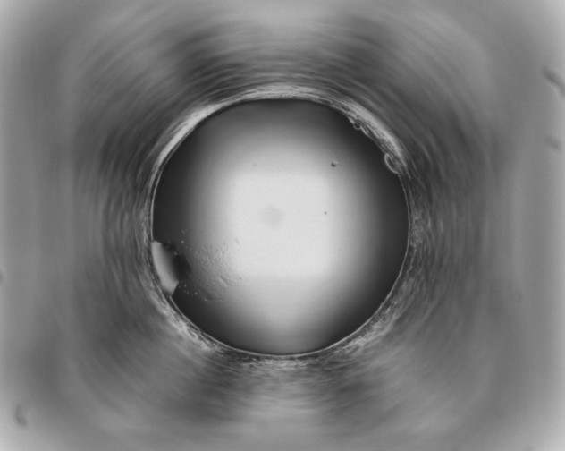 X0000096460860200802071832
