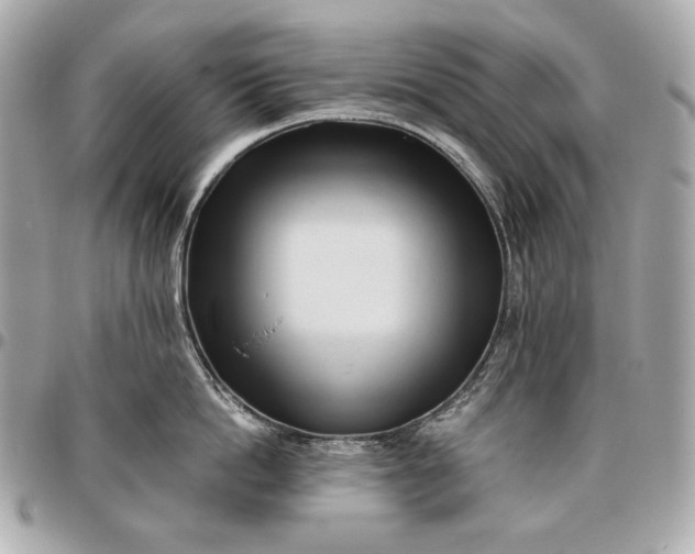 X0000096460862200802071832