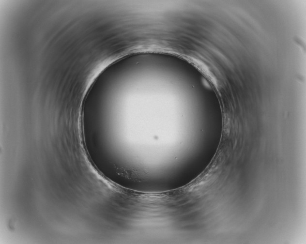 X0000096460863200802071832