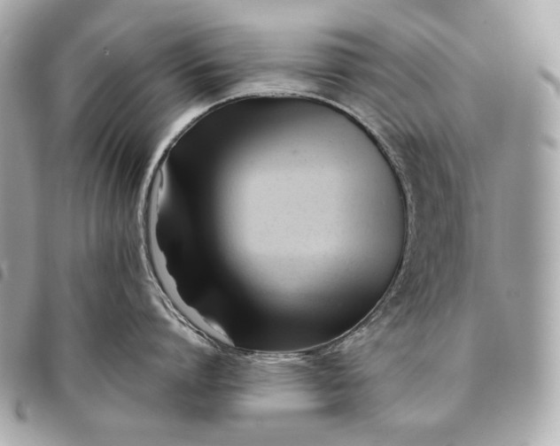 X0000096460864200802071832