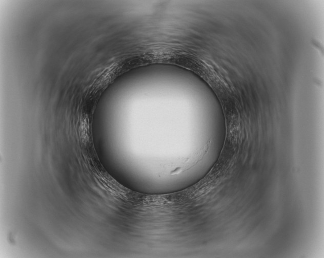 X0000096460866200802071831