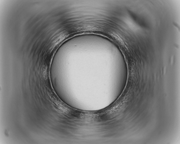 X0000096460873200802071831