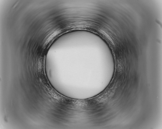 X0000096460874200802071831