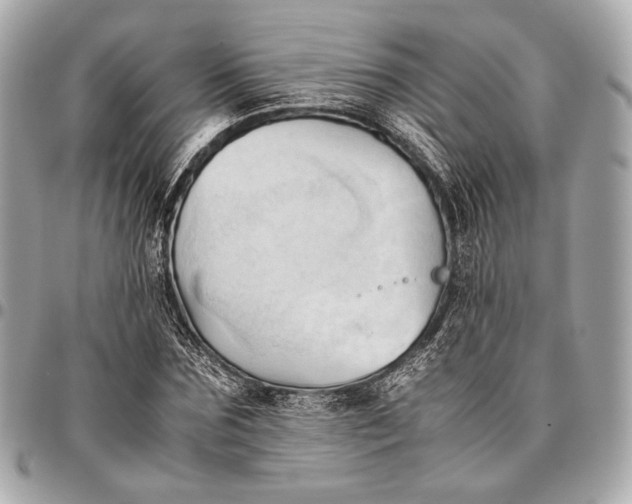 X0000096460875200802071831