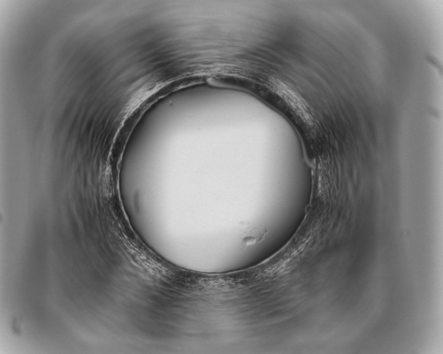 X0000096460876200802071831