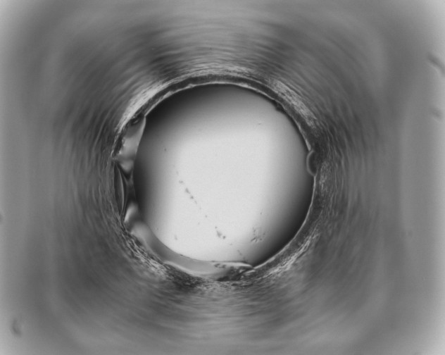 X0000096460877200802071831
