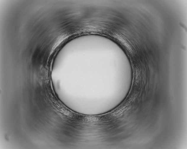 X0000096460878200802071831