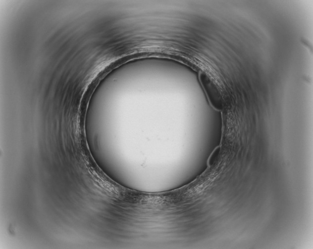 X0000096460880200802071831