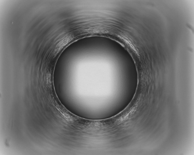 X0000096460881200802071831