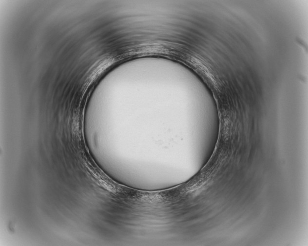 X0000096460882200802071831