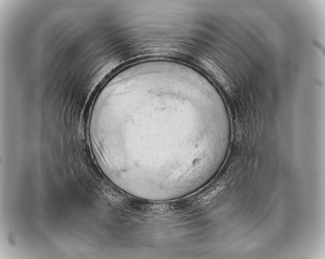 X0000096460883200802071831