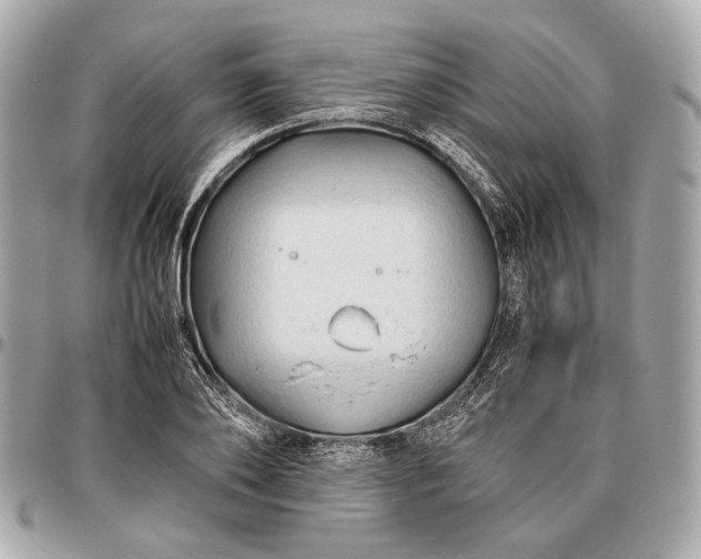 X0000096460886200802071831