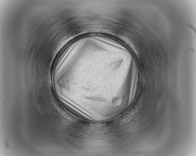 X0000096460887200802071831